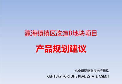 北京瀛海鎮(zhèn)鎮(zhèn)區(qū)改造B地塊項目產品規(guī)劃建議.ppt
